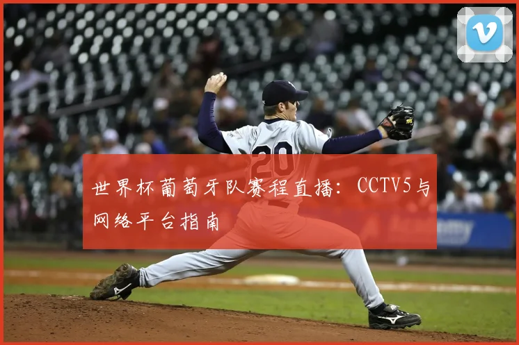 世界杯葡萄牙队赛程直播:CCTV5与网络平台指南